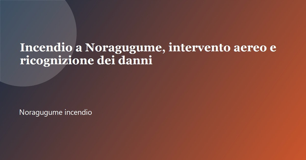 Incendio a Noragugume, intervento aereo e ricognizione dei danni