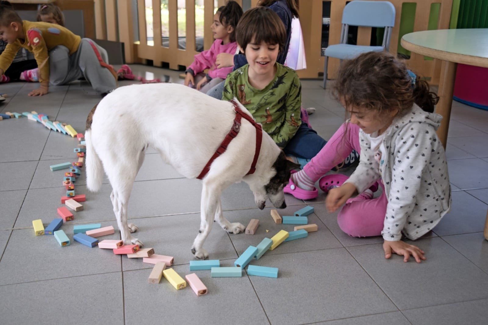 Scuodinzola Progetto di Pet Therapy, Educazione assistita con il cane