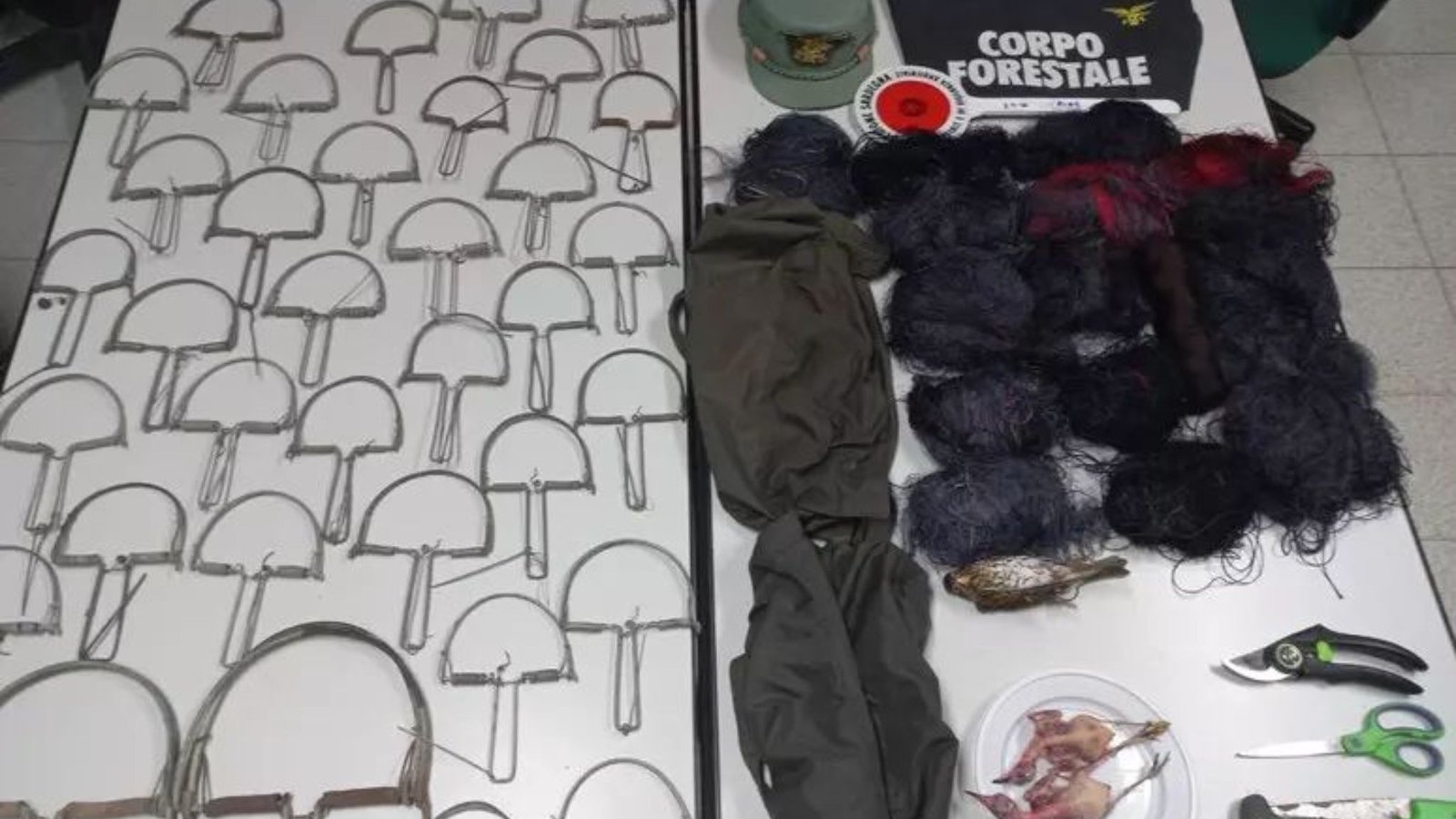 Maracalagonis, sorpreso a piazzare trappole per uccelli: 66enne denunciato
