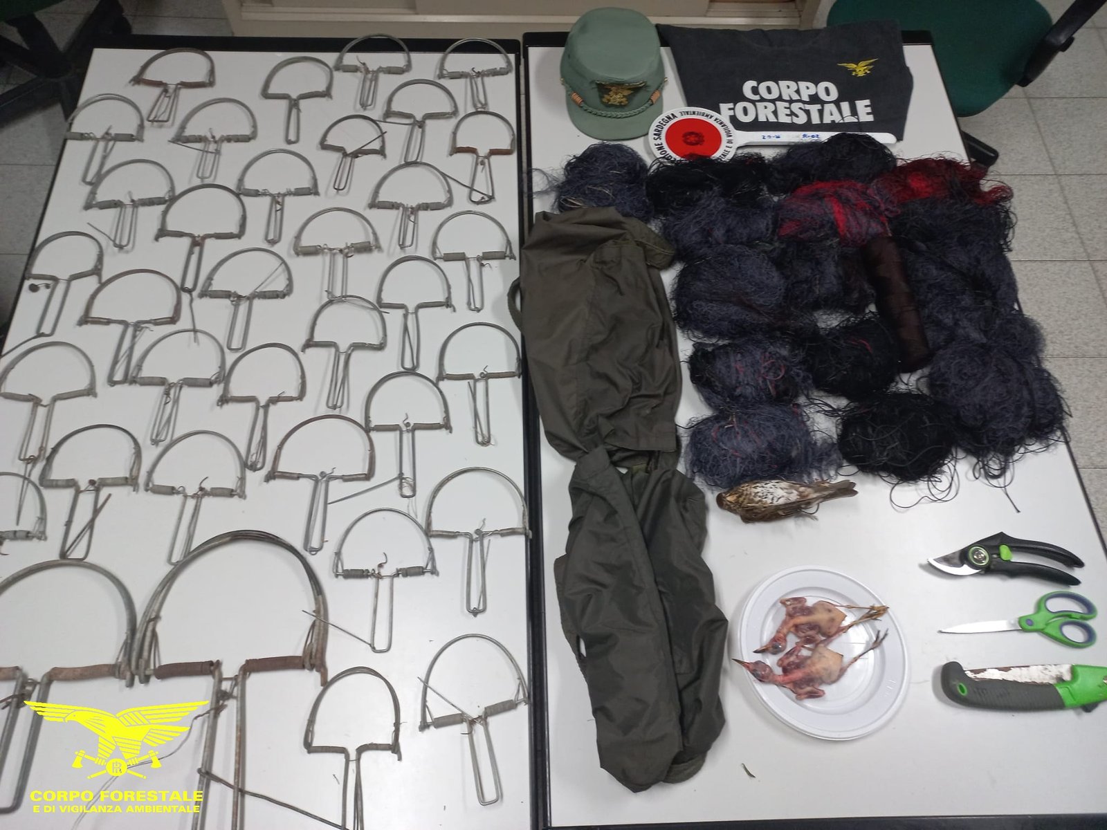 Cattura tordi e merli con reti e trappole: pensionato denunciato a Maracalagonis