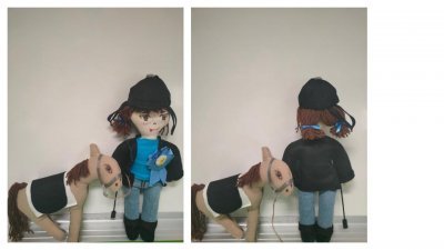 Circolare 423 - Progetto Pigotte sportive UNICEF - Votazione