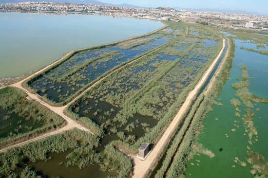 Molentargius, presentato il Piano del Parco: strumento unitario di governo di una delle zone umide più rilevanti del Mediterraneo