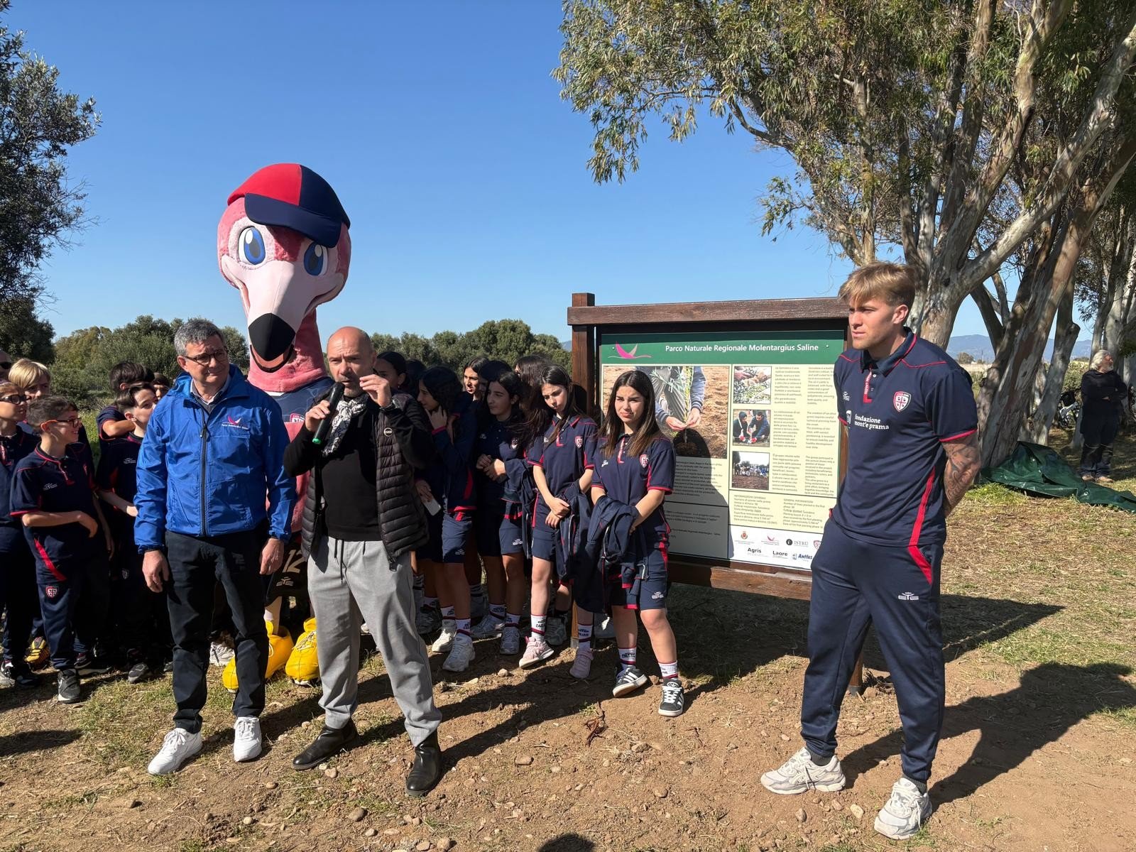Coesione sociale, inaugurato l'oliveto sperimentale della Piana di Is Arenas, all'interno del Parco di Molentargius