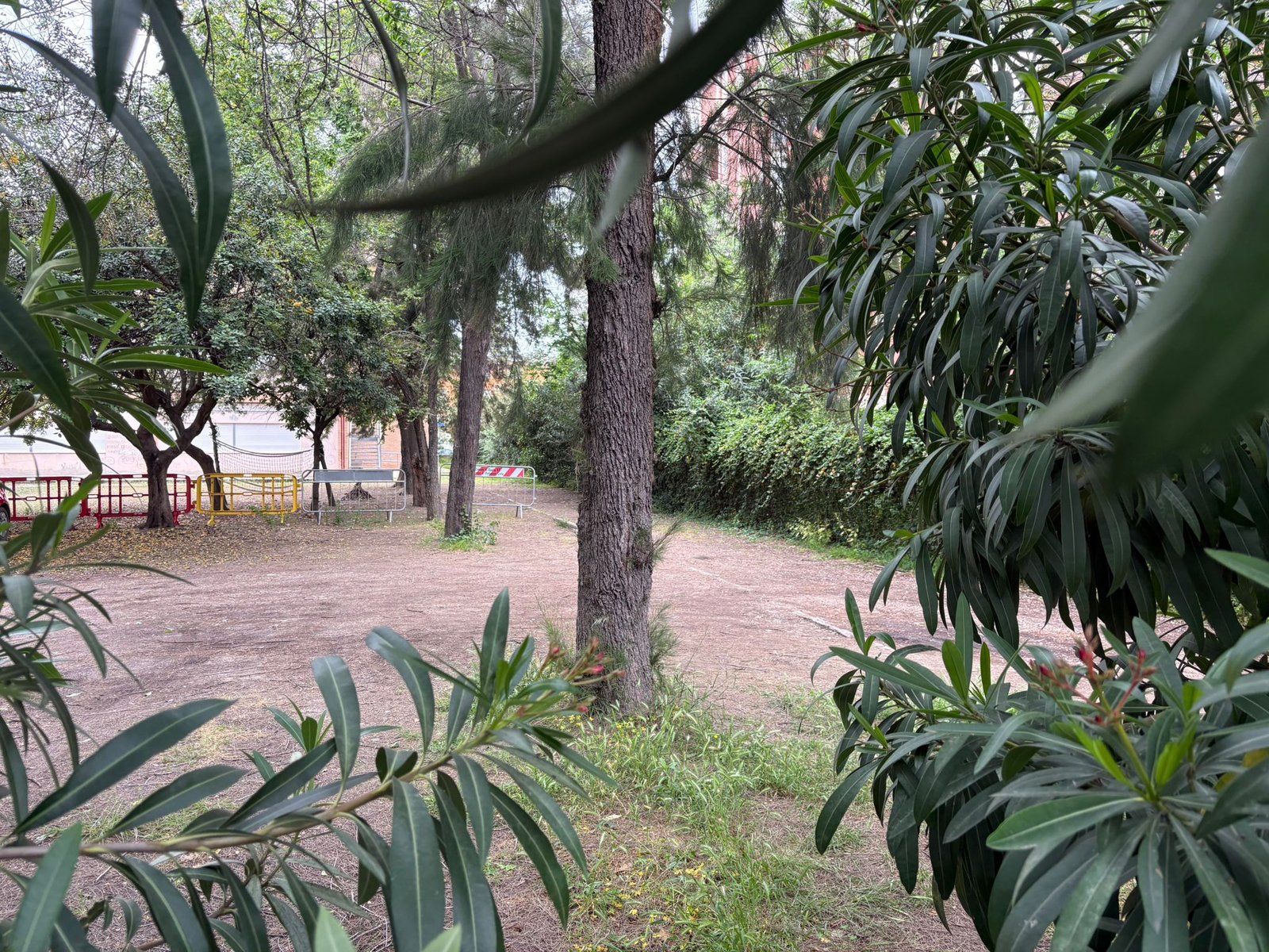 Avviata la potatura degli alberi dei giardini delle scuole, il nuovo anno didattico avrà inizio con spazi all'aperto sicuri e funzionali