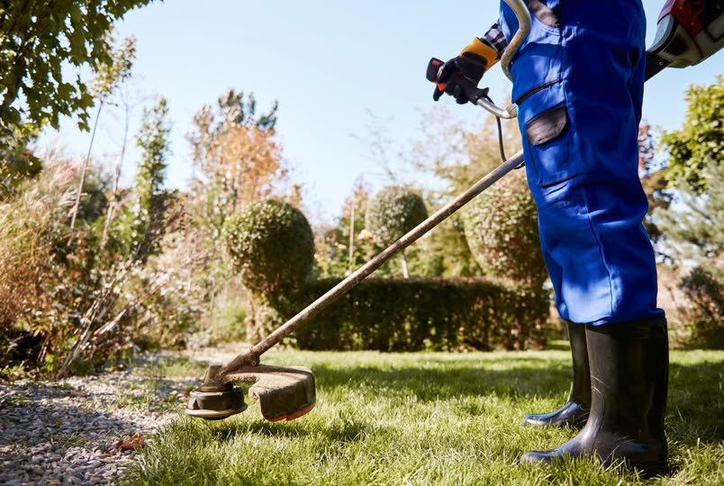 Prevenire il rischio incendi e garantire il decoro urbano, ecco l'ordinanza per lo sfalcio di erbacce e vegetazione incolta nei terreni privati