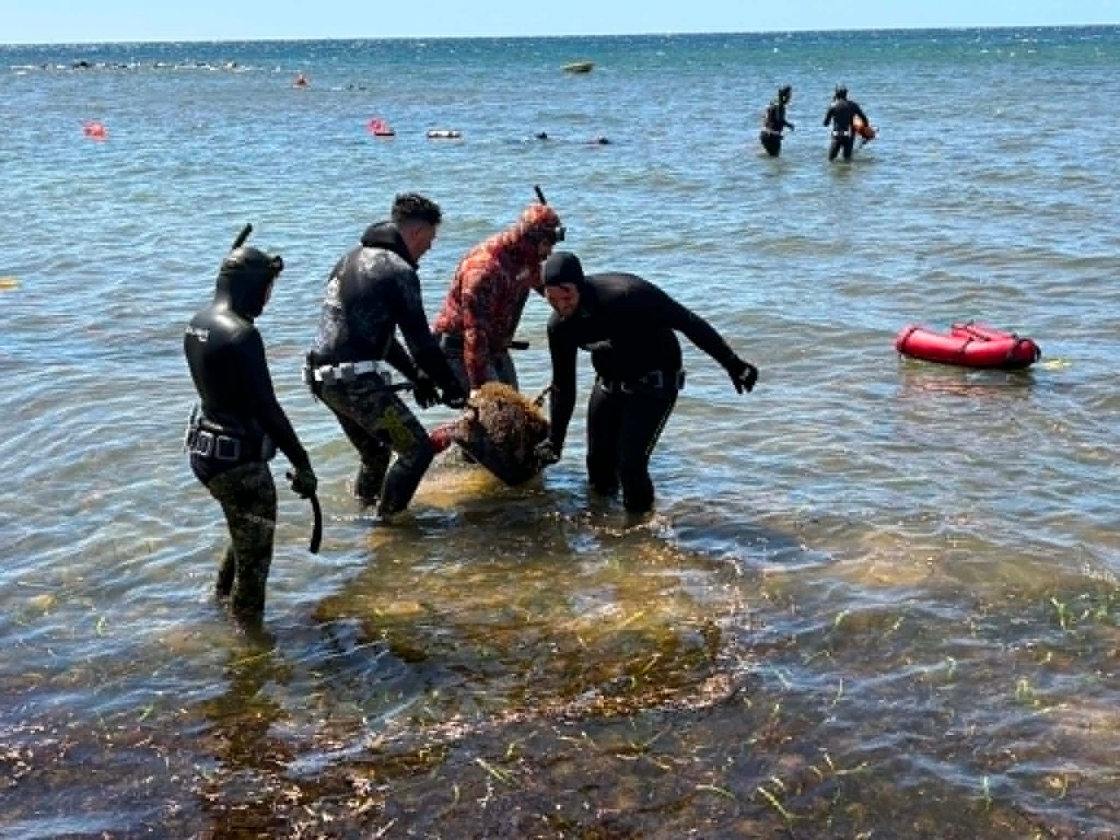 Oltre 150 volontari nel litorale di Quartu partecipano all'iniziativa 'A pesca di rifiuti', raccolti ben 650 kg di spazzatura