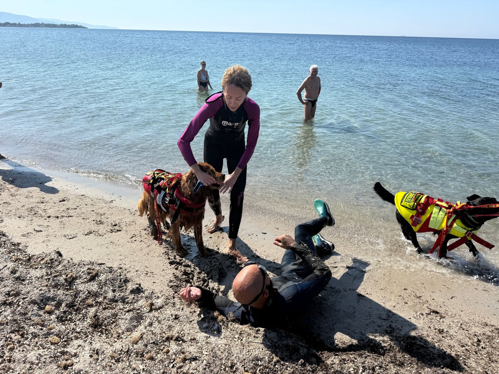 I cani hanno una nuova spiaggia a Quartu: doppio ingresso da Poetto e Margine Rosso