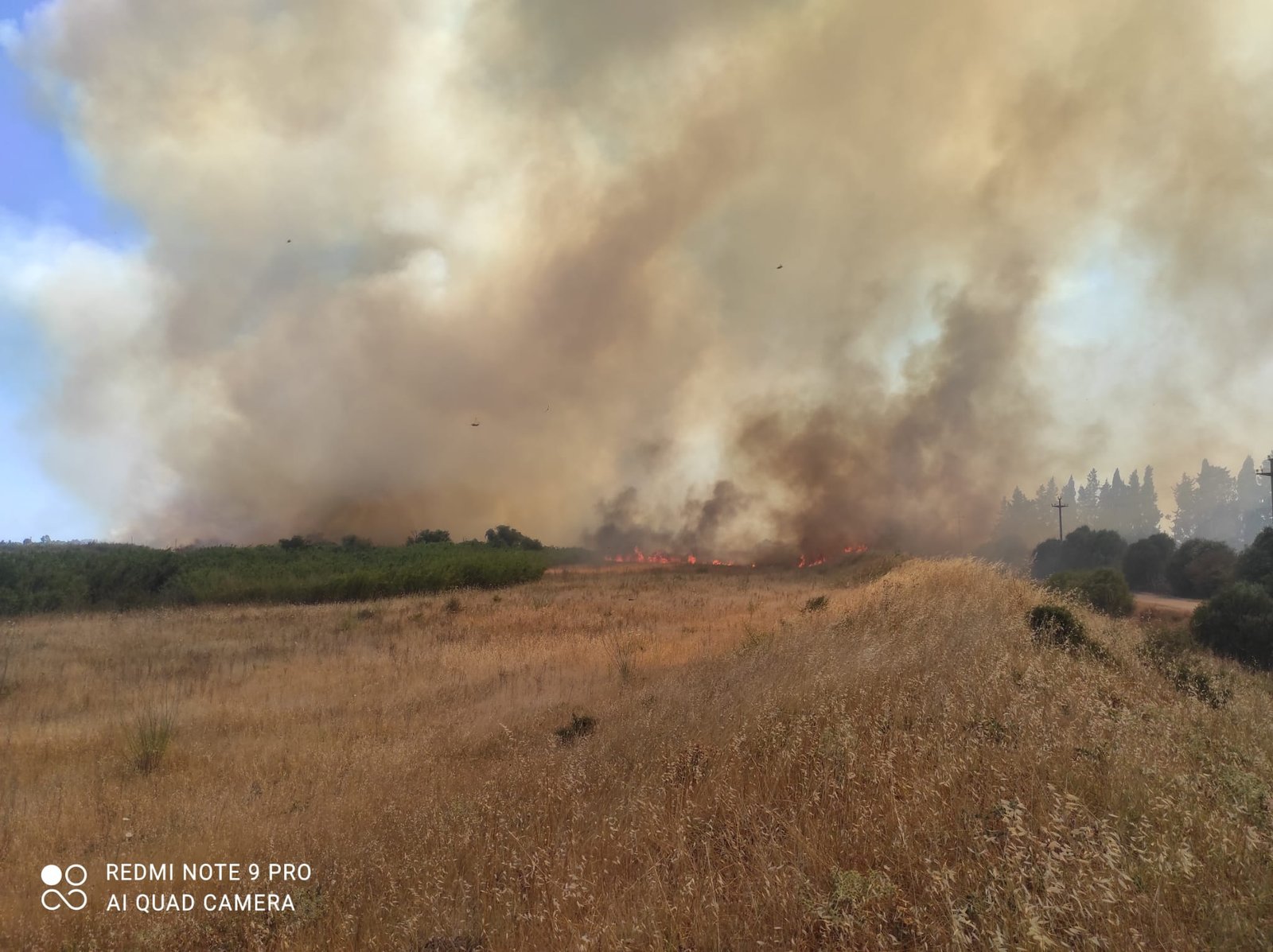 Il sud Sardegna sfregiato dagli incendi: fiamme alte a Quartu, Decimomannu e San Sperate