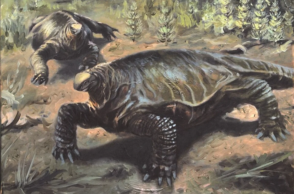 In Sardegna è stato scoperto un “bestione” preistorico antenato dei dinosauri: ecco dove e di chi si tratta