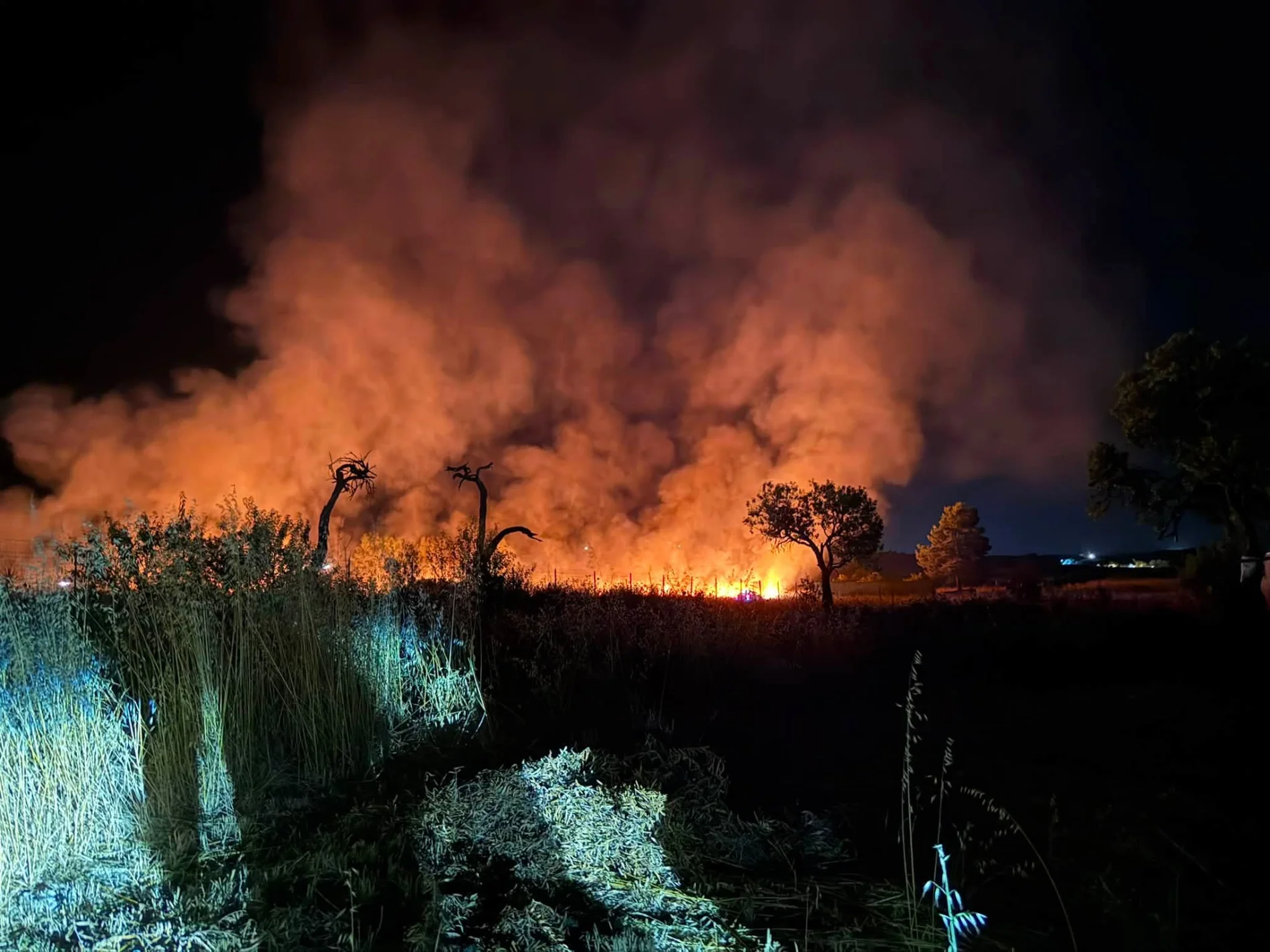 Caccia ai piromani seriali: quattro indagati nel cagliaritano, sequestrati ordigni artigianali pronti all’uso