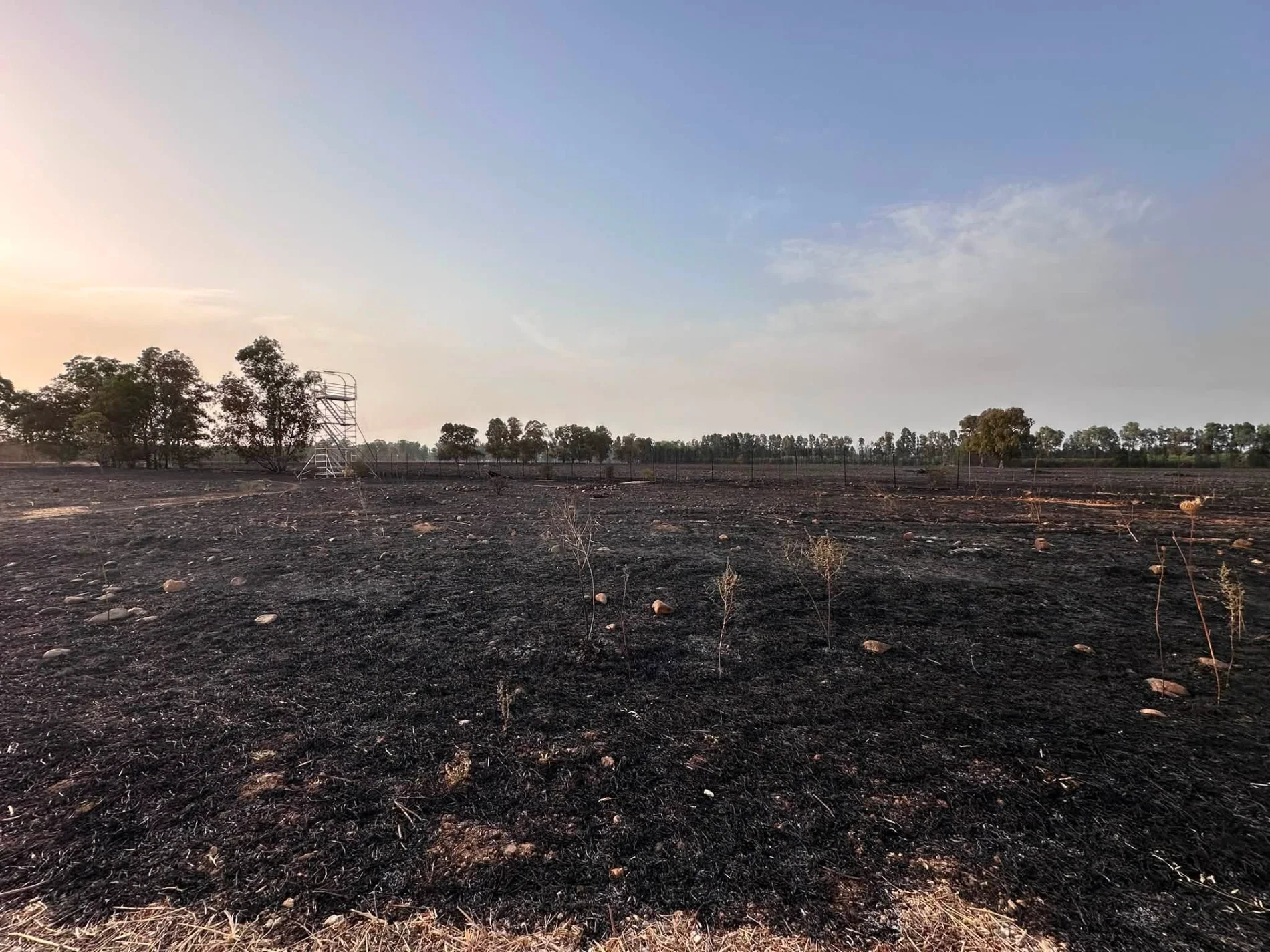 Rogo devastante a Villacidro: a fuoco campagne, pescheti e pascoli