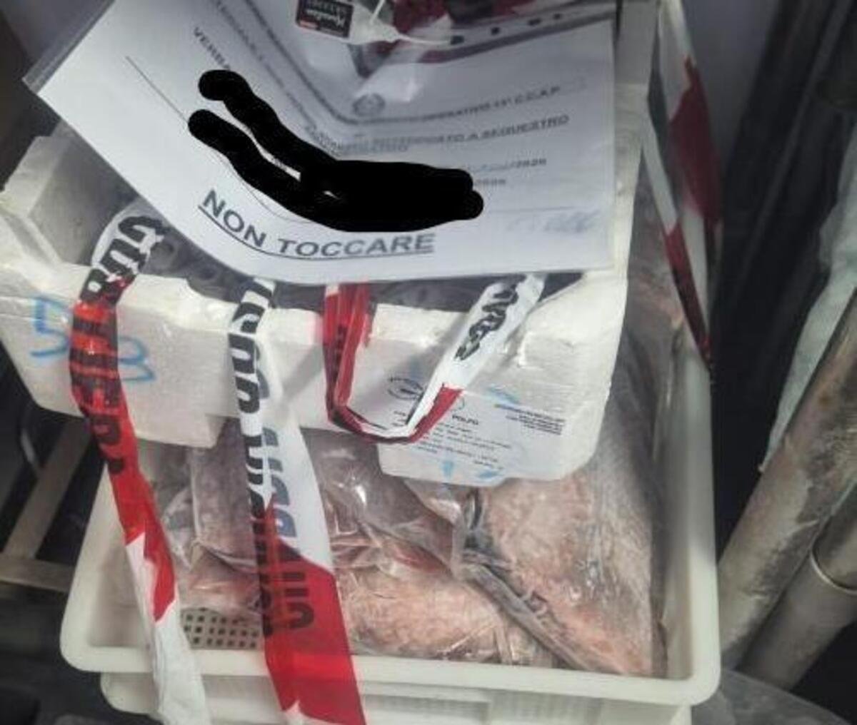 Retata della Guardia Costiera nel Cagliaritano: sequestrati trentasei chili di tonno, polpo e gamberi senza tracciabilità e inflitte multe salate per quattordici mila euro a tre esercizi commerciali tra Quartu e l’hinterland