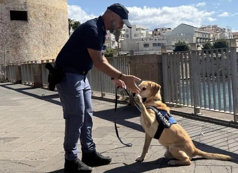 L’ultimo commosso saluto ad Aaron, lo storico cane antiesplosivo della Polizia di Oristano