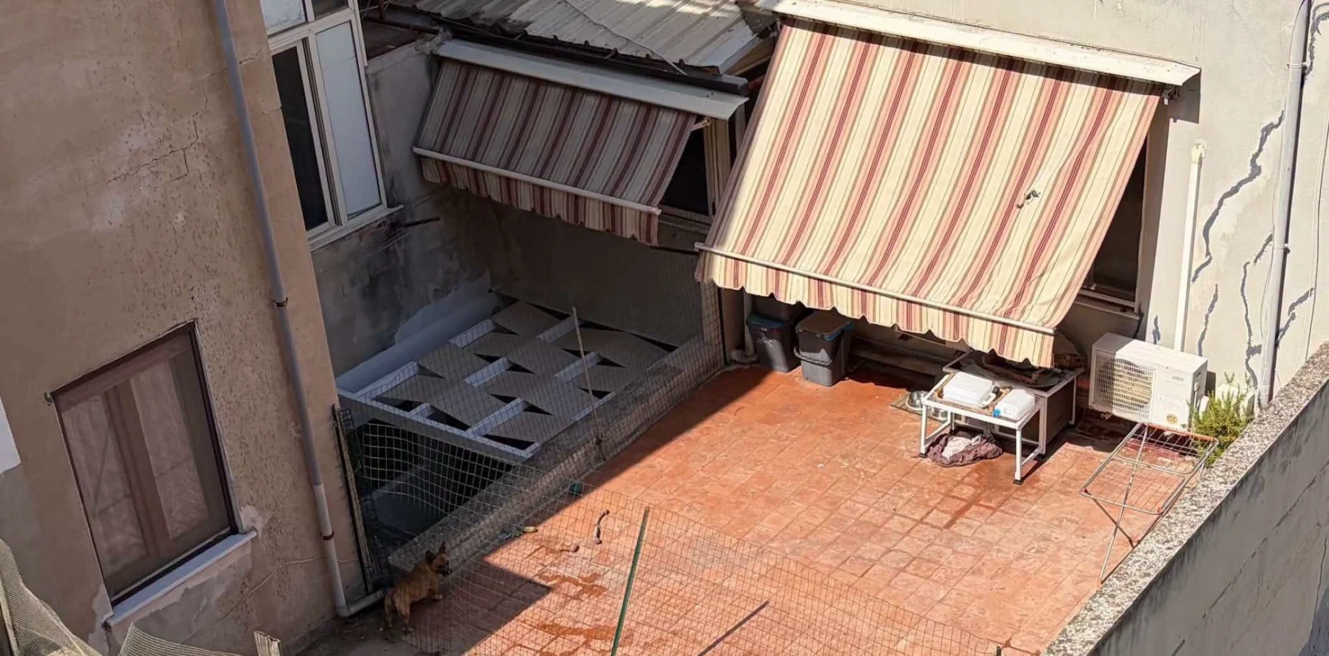 Chiuso con 40 gradi in un terrazzo: cane imprigionato all’inferno a Cagliari. La denuncia dell’attivista Rizzi