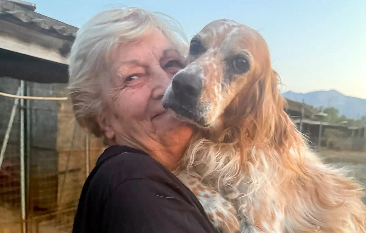 Riconoscimento internazionale per il Rifugio di Gonnosfanadiga: a Caterina Uccheddu il “Premio Bontà” per la Fedeltà del Cane