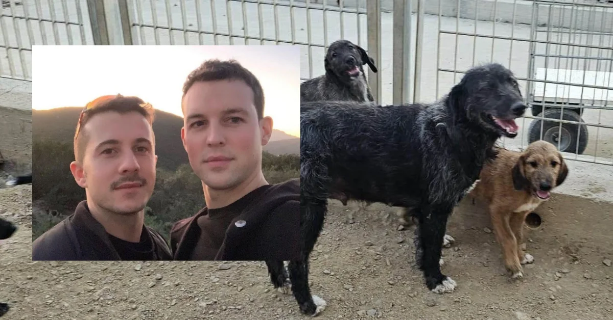 Un dono da 200mila euro alla Lida di Olbia: Brendan e Salvatore destinano la lista nozze alla beneficenza