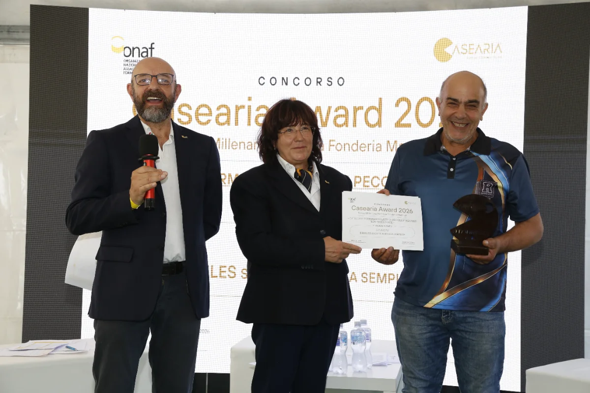 Il Maimone di Olzai conquista i Casearia Awards: primo posto per il pecorino sardo