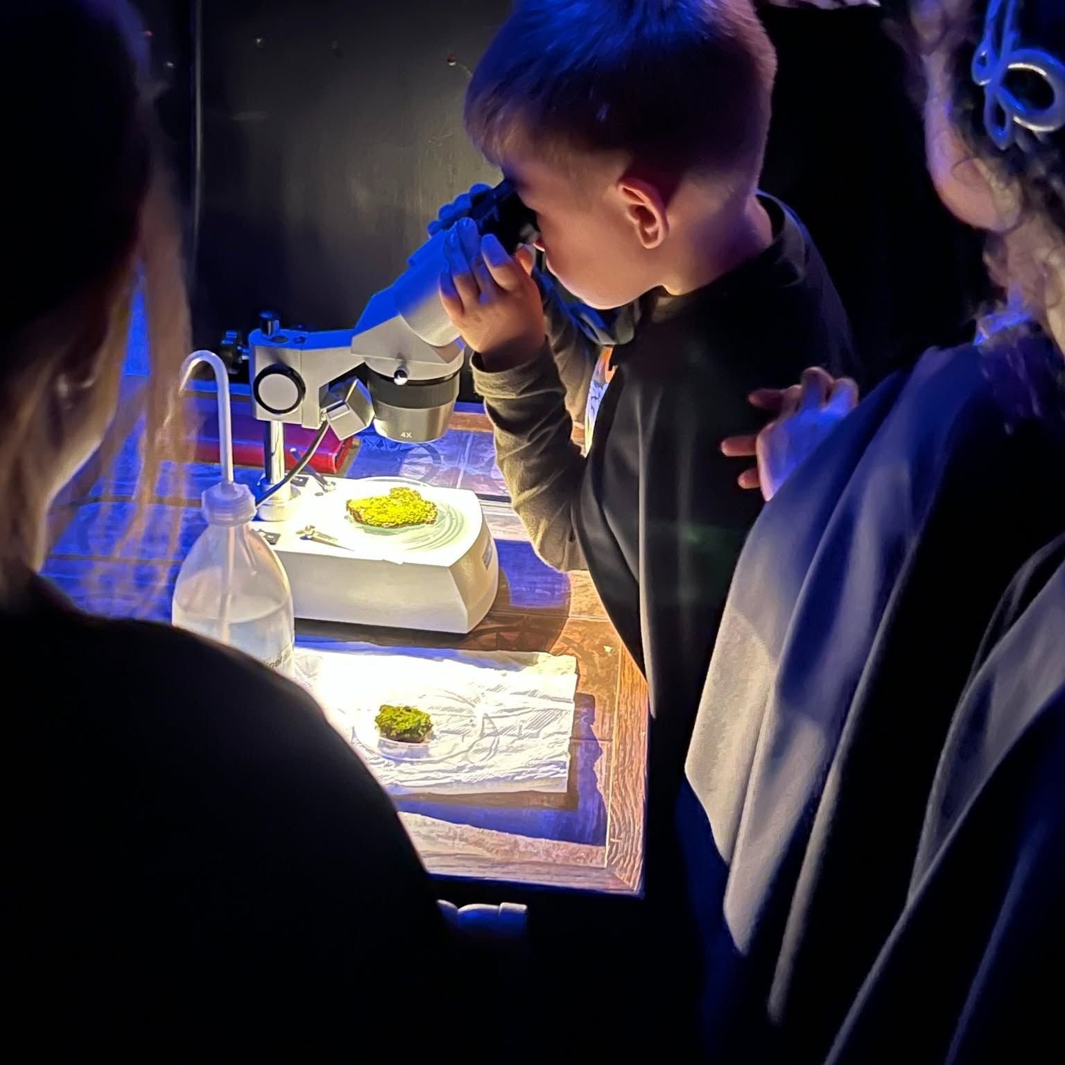 Artemix Festival, la città si mette in movimento tra teatro, scienza e creatività digitale