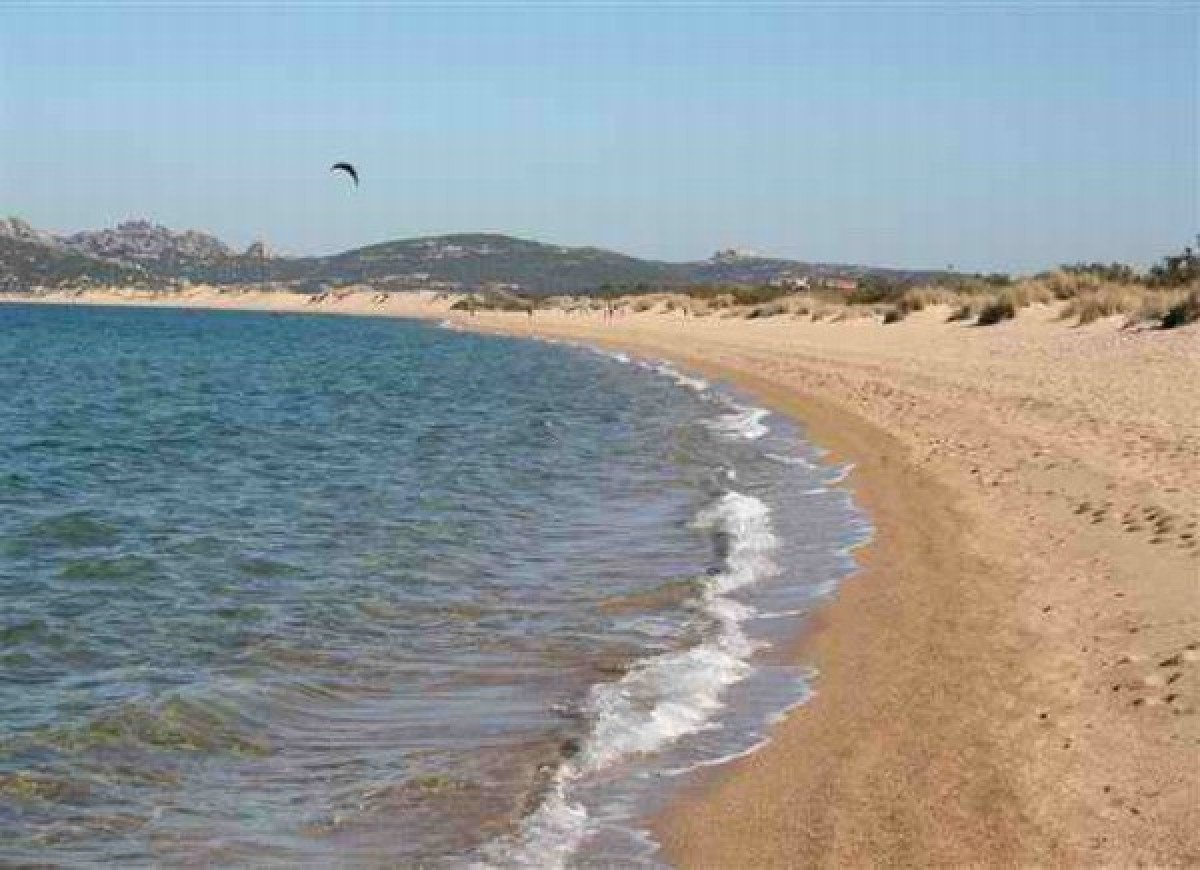 Festa privata con gazebo in spiaggia a Porto Liscia: interviene la Guardia Costiera