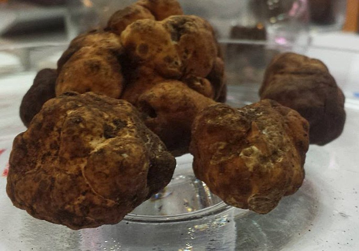 Sapete che il tartufo si trova anche in Sardegna? Ecco dove e quali sono le tipologie