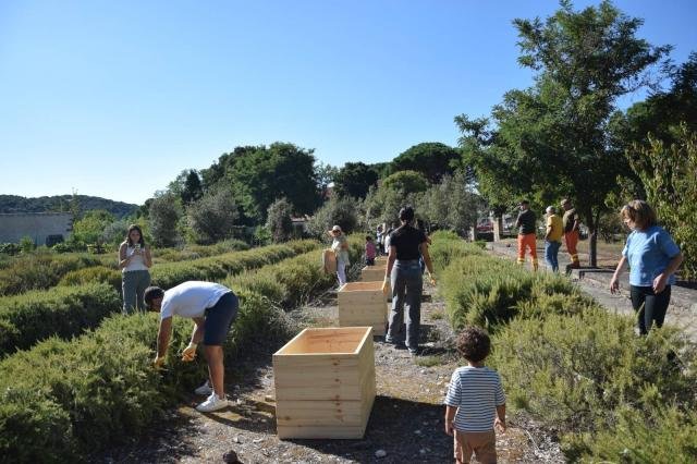CEAS Aperti 2026 verso la conclusione con due giornate  al Parco di Molentargius dedicate alla formazione