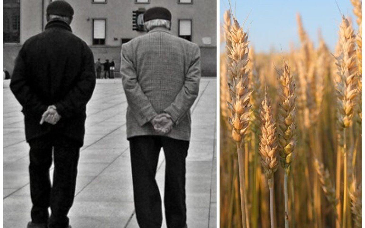 Il fascino di un’antica benedizione: la storia, la terra e i valori dietro l’espressione “Saludi e trigu”