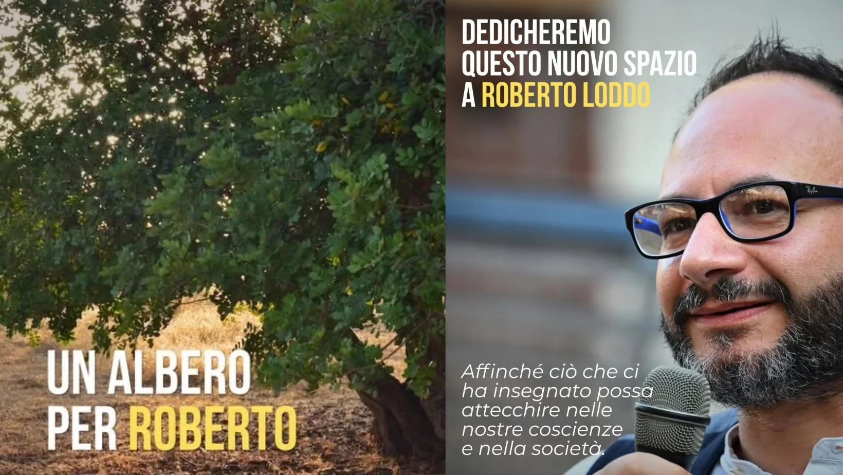 Cagliari, un albero per Roberto Loddo: una giornata di cura e partecipazione per ricordare l’attivista scomparso